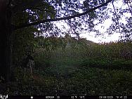 09060921