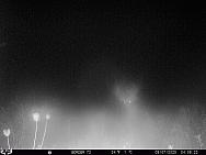 09070015