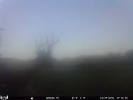 09070040