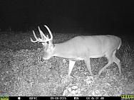 09080072