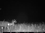 09090166