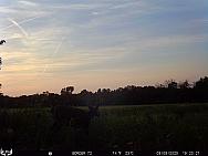 09090193