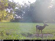 09090506