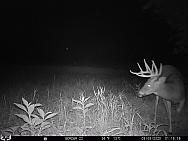 09090813