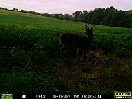 09100214 (2)