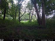 09100350