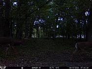 09100383
