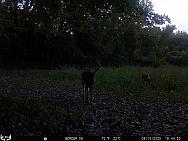 09100679