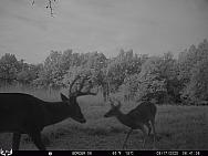 09170063