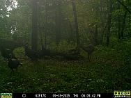 09180099