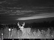 09200550