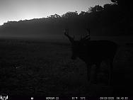 09250515