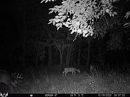 10190608