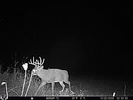 10200785