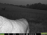 10270184