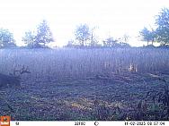 11020097