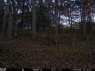 11030125