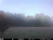 11030188