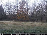 11100416