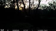 11120228