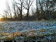 IMAG0581 (2)