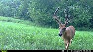 IMG 1286