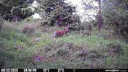 PICT5532 202508230121JqwCU