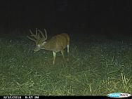CDY 0016