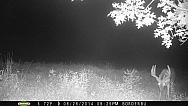 PICT0075