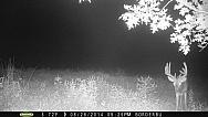 PICT0077