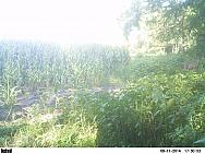 PICT0164