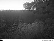PICT0198
