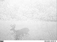 PICT0257