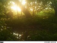PICT0460