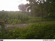 PICT0560