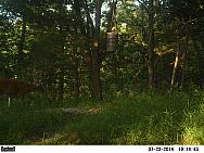 PICT0576