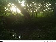 PICT2840