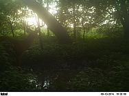 PICT2841