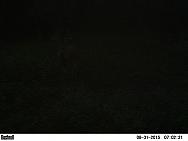 PICT0329