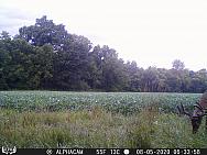 08050611