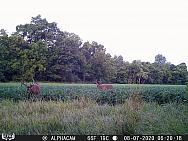 08070803