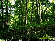 09050728