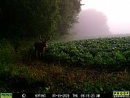 07160309