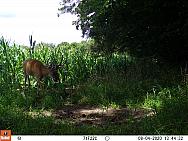 08040063