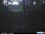 CDY 0032