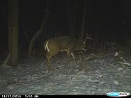 CDY 0077