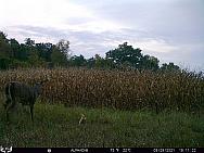 09290014 - Copy