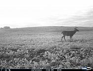 I 00094b